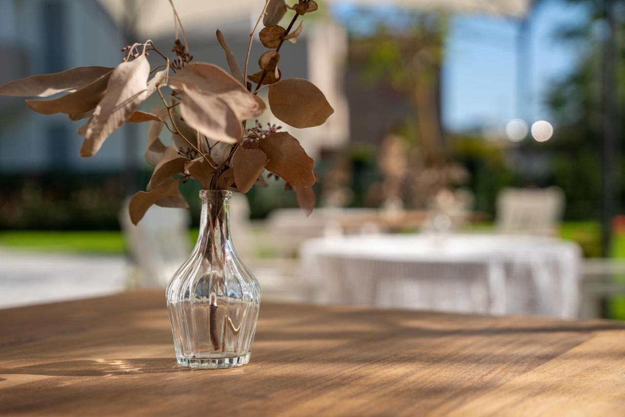 SantʼArcangelo di Romagna B&B Villa Ebe מראה חיצוני תמונה